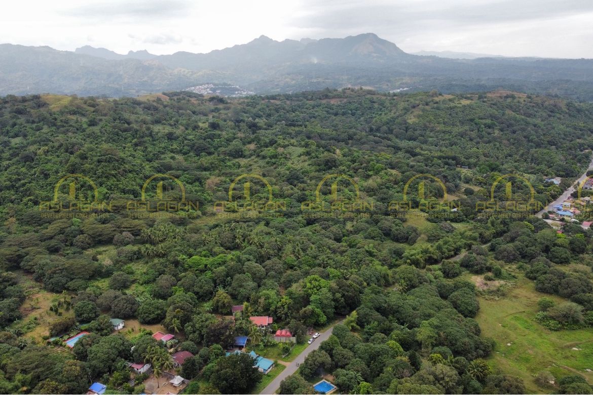Land for Sale in Mabiga, Hermosa, Bataan – photo 2