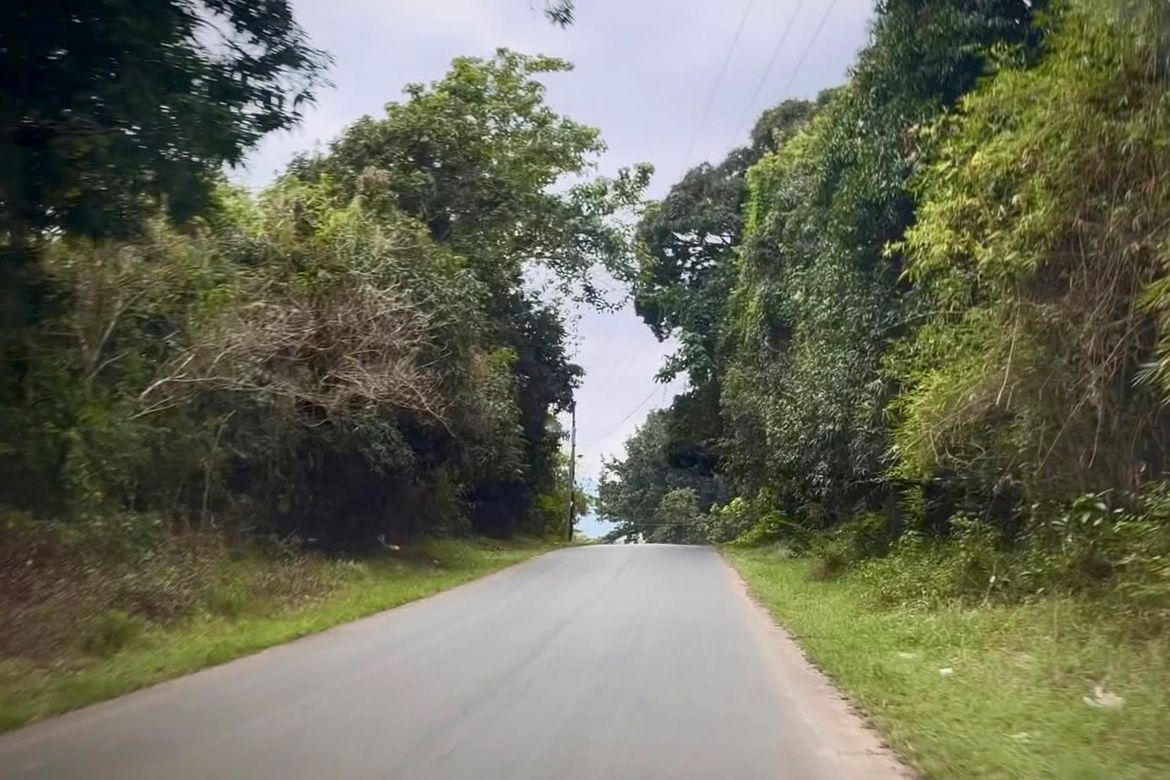 Land for Sale in Mabiga, Hermosa, Bataan – photo 7