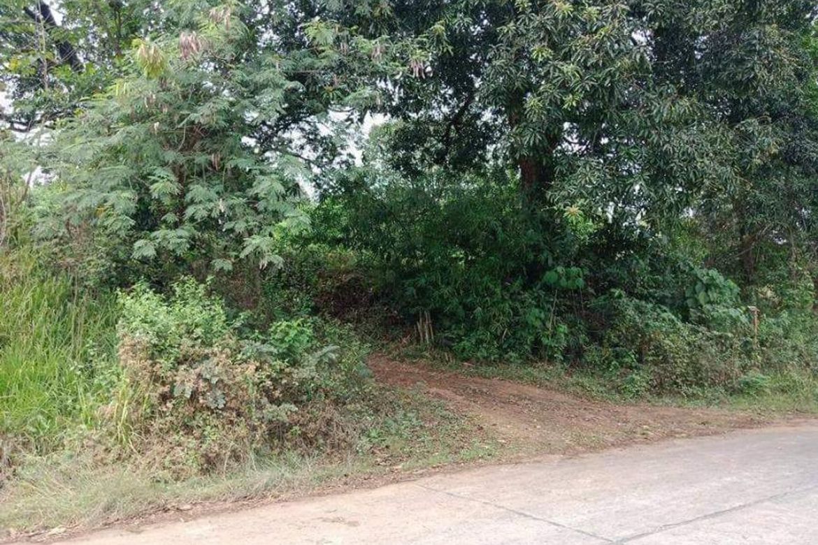 Land for Sale in Mabiga, Hermosa, Bataan