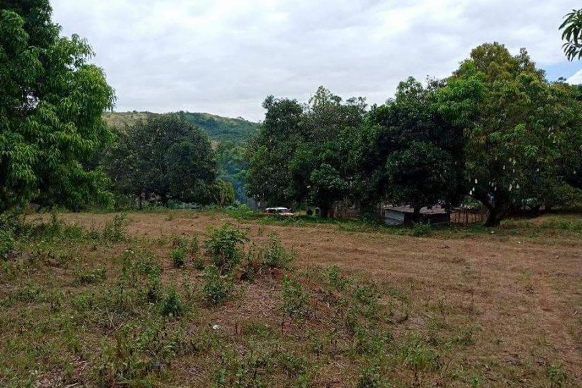 Land for Sale in Mabiga, Hermosa, Bataan – photo 2