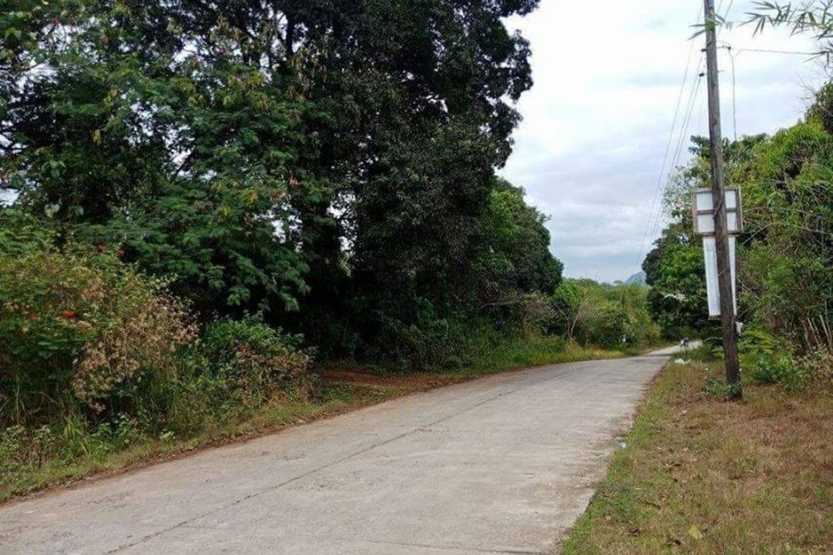 Land for Sale in Mabiga, Hermosa, Bataan – photo 3