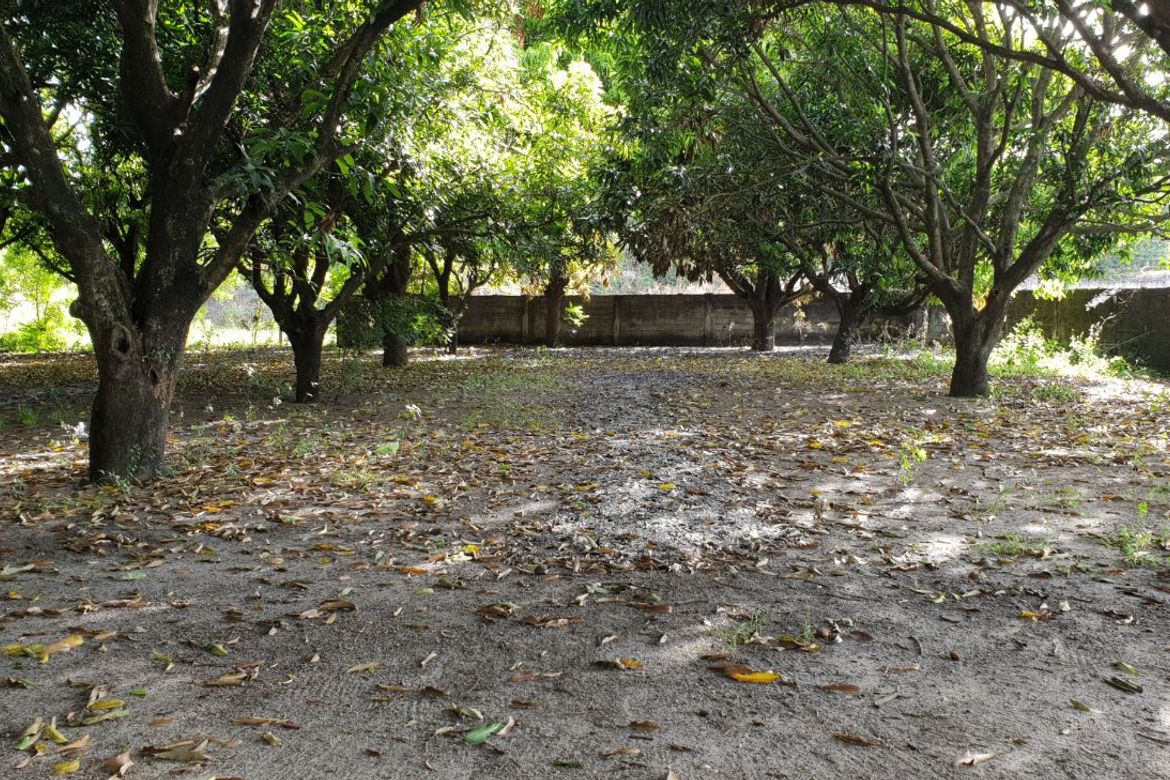 Land for Sale in Mabiga, Mabalacat, Pampanga – photo 2