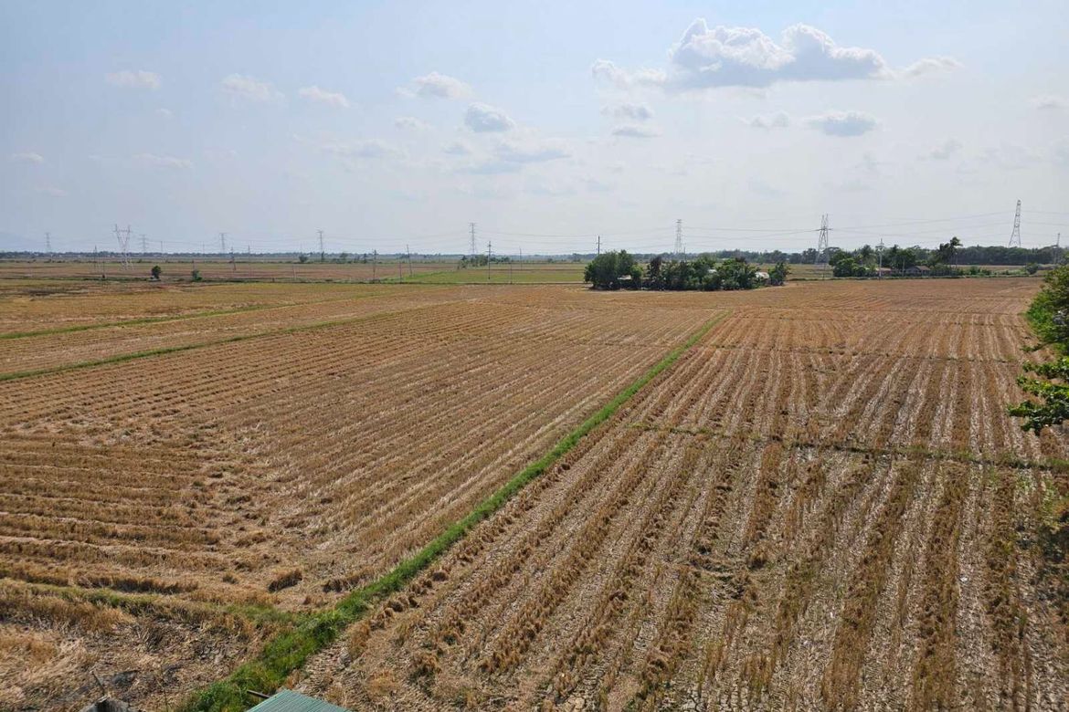 Land for Sale in Mabini Extension, Cabanatuan, Nueva Ecija – photo 3