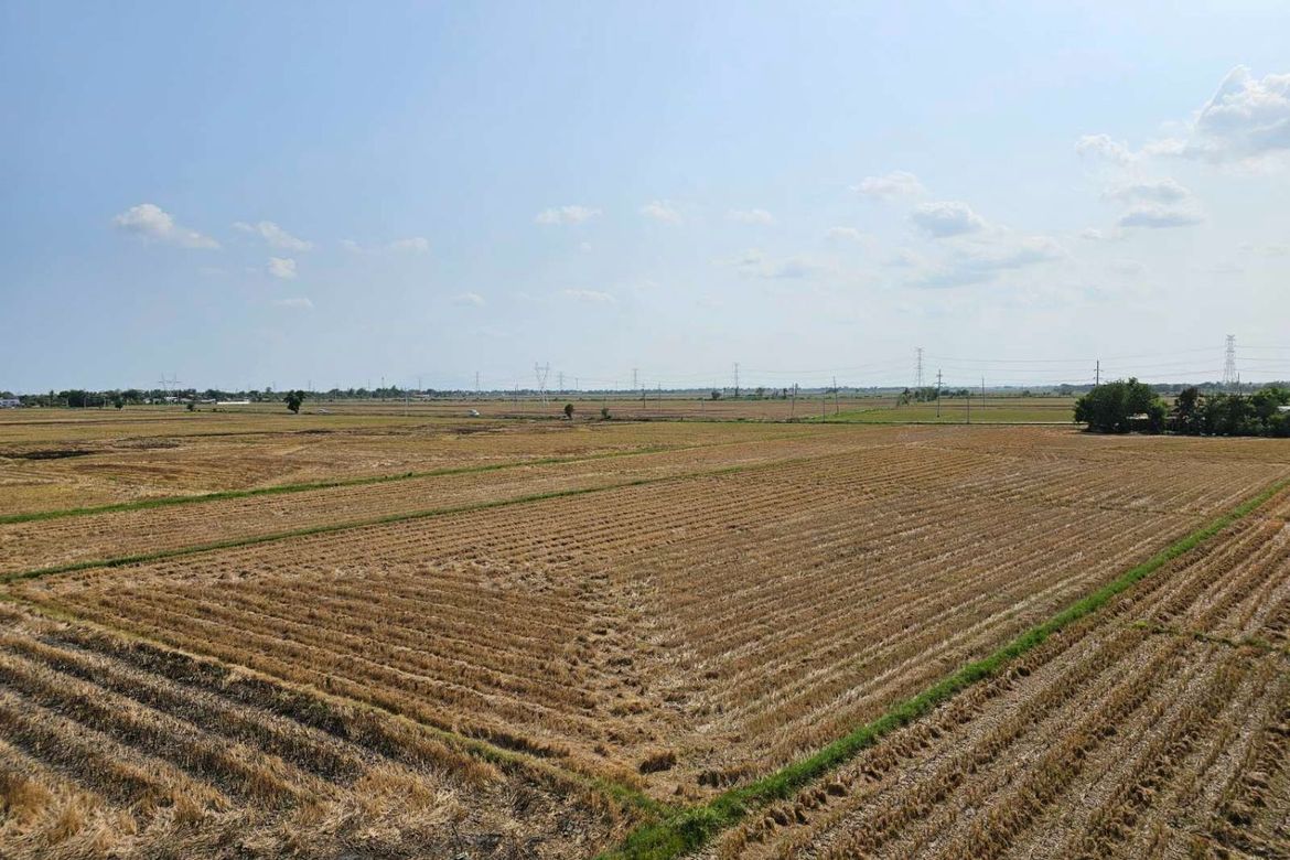 Land for Sale in Mabini Extension, Cabanatuan, Nueva Ecija – photo 6