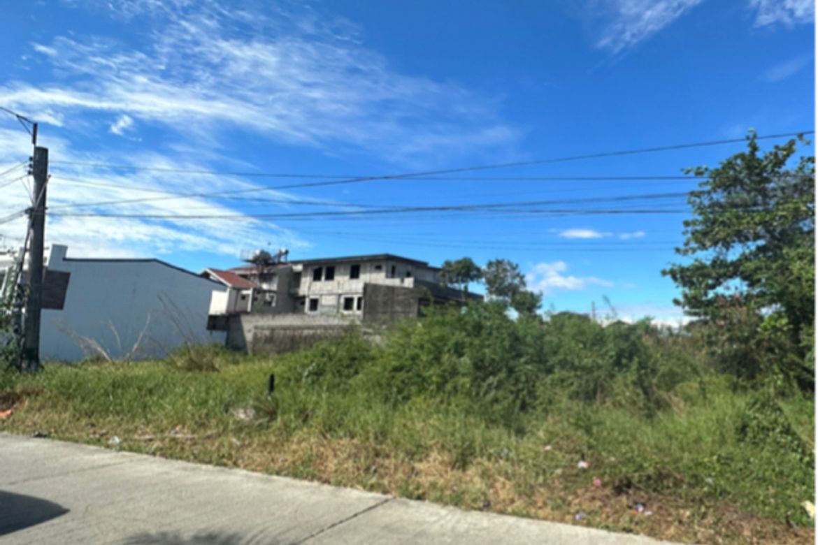 Land for Sale in Mabini Homesite, Cabanatuan, Nueva Ecija – photo 6