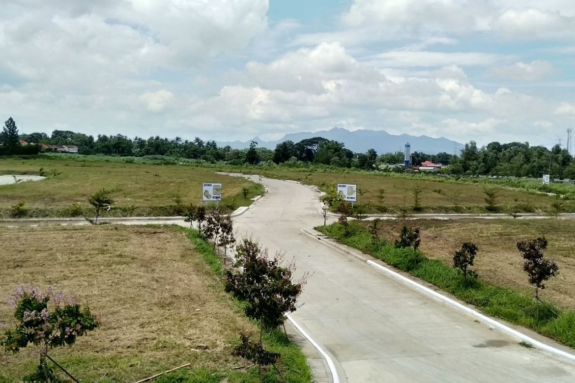 Land for Sale in Mabini, Lipa, Batangas – photo 8
