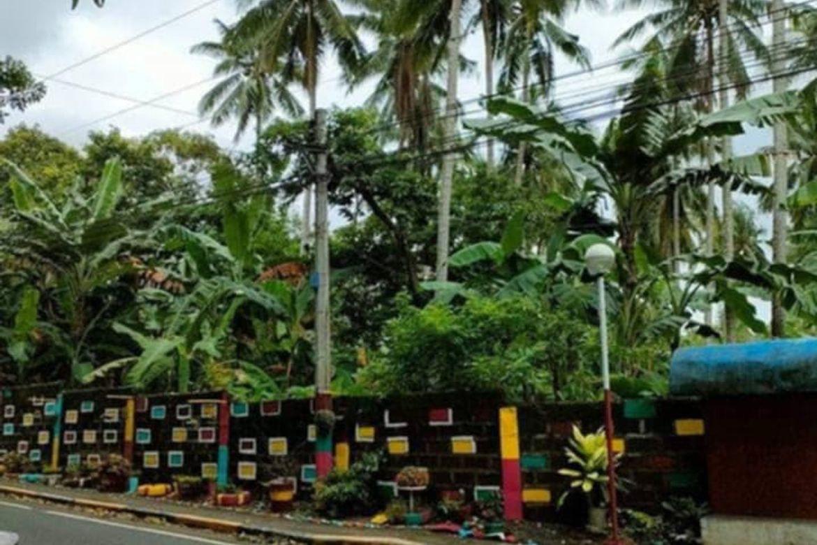 Land for Sale in Mabini, Lipa, Batangas – photo 4