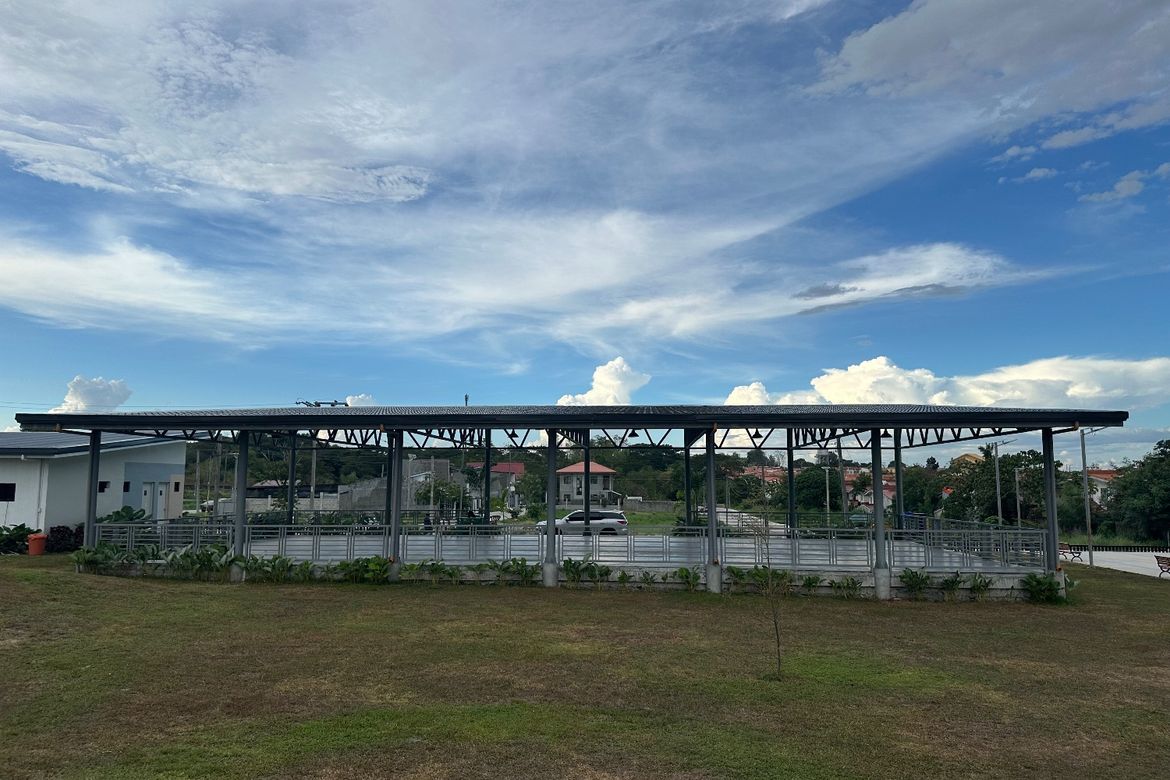Land for Sale in Mabini, Tarlac, Tarlac – photo 2
