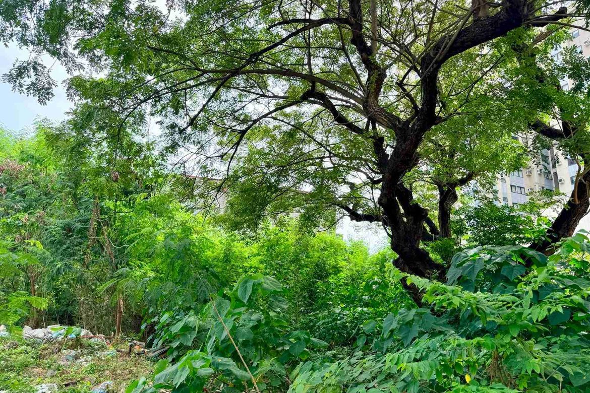 Land for Sale in Mabolo, Cebu City, Cebu