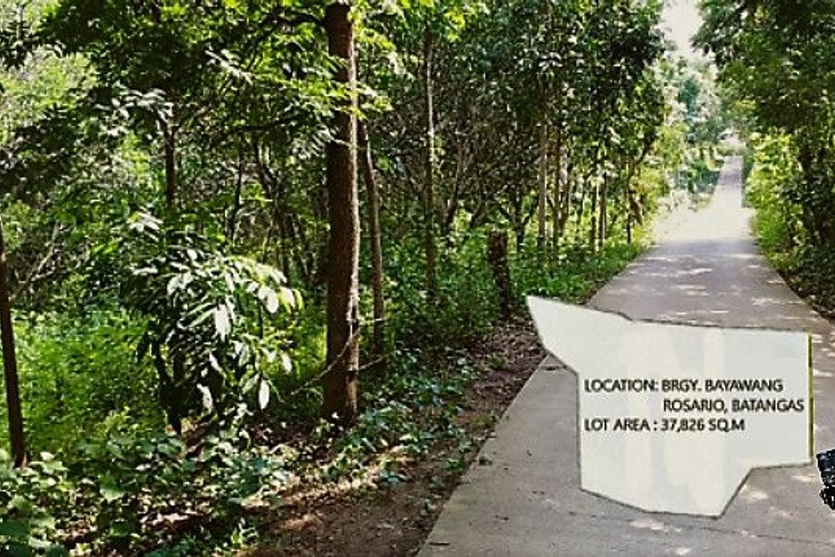 Land for Sale in Mabunga, Rosario, Batangas – photo 3