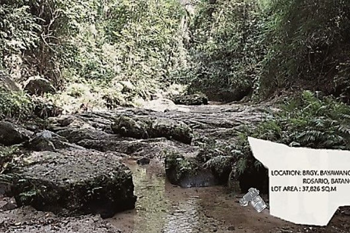 Land for Sale in Mabunga, Rosario, Batangas – photo 6