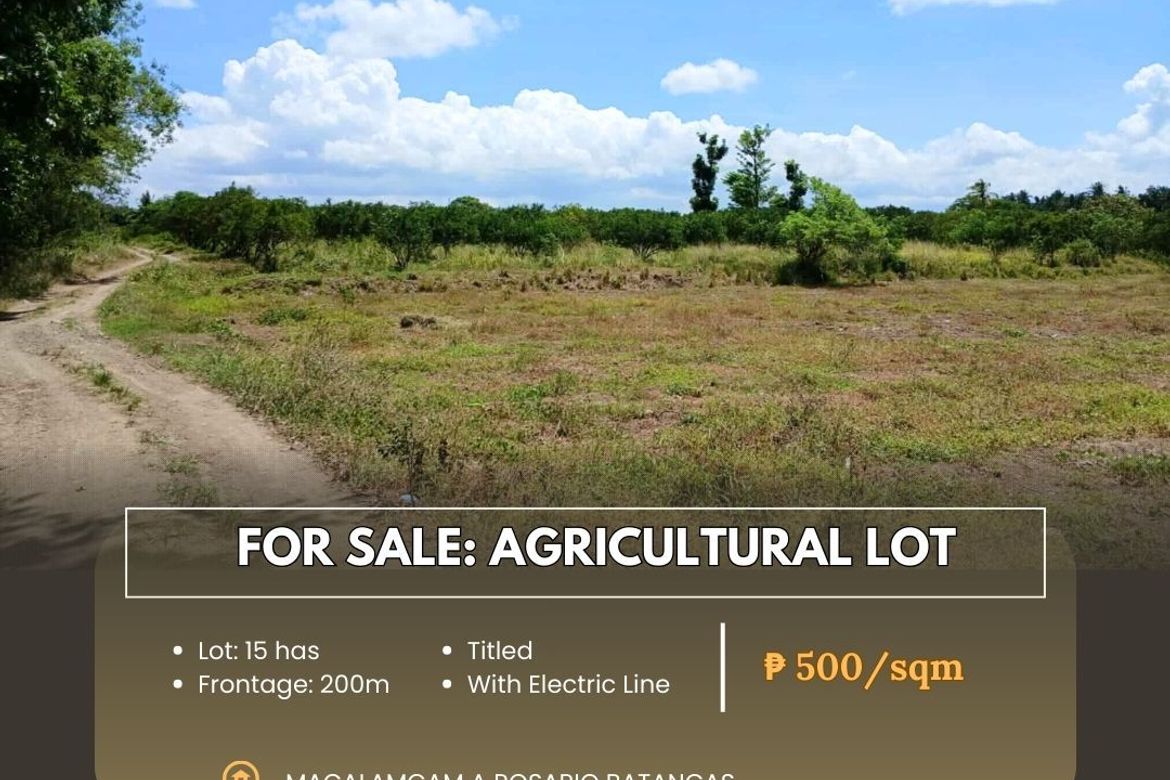 Land for Sale in Macalamcam A, Rosario, Batangas
