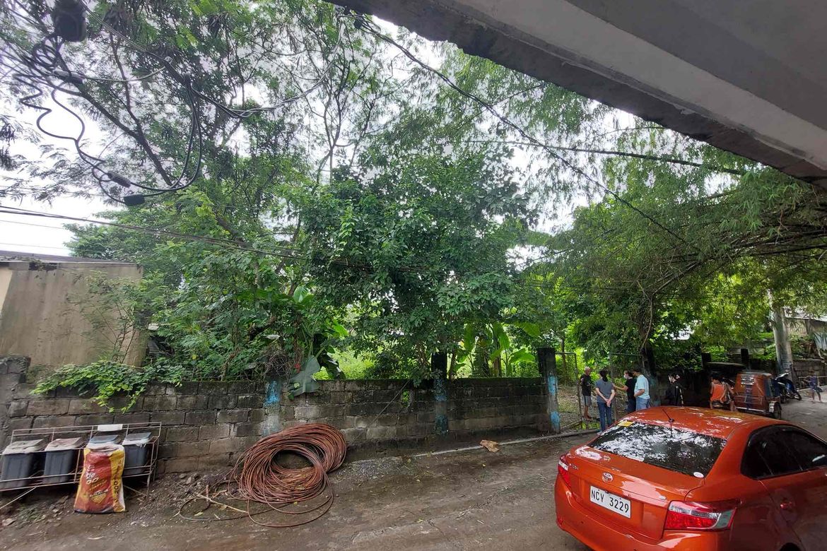 Land for Sale in Macamot, Binangonan, Rizal – photo 2