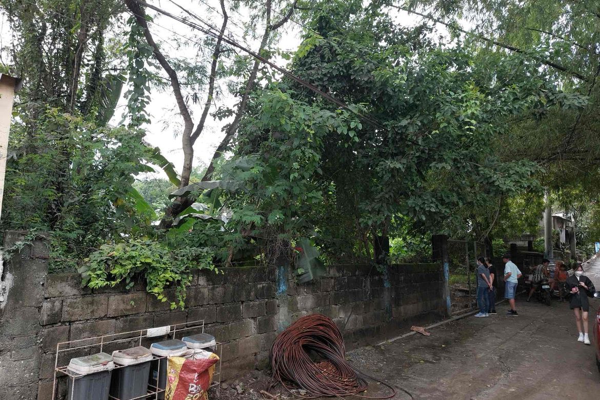 Land for Sale in Macamot, Binangonan, Rizal – photo 3