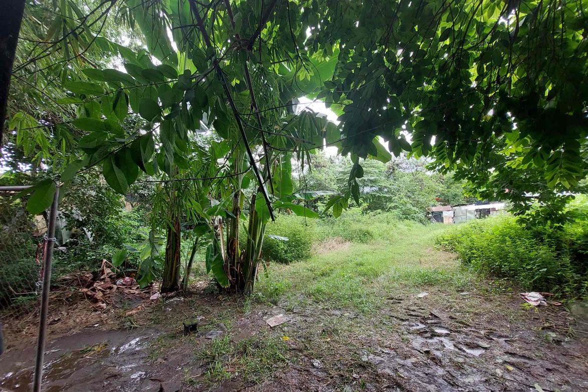 Land for Sale in Macamot, Binangonan, Rizal – photo 6