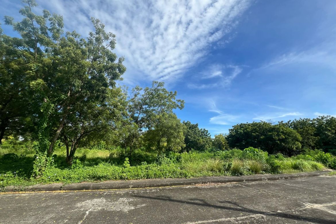 Land for Sale in Mactan, Lapu-Lapu, Cebu – photo 2