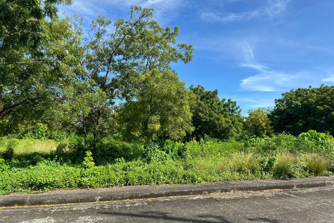 Land for Sale in Mactan, Lapu-Lapu, Cebu – photo 3
