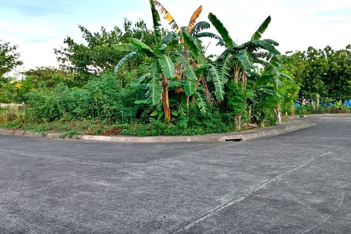 Land for Sale in Mactan, Lapu-Lapu, Cebu