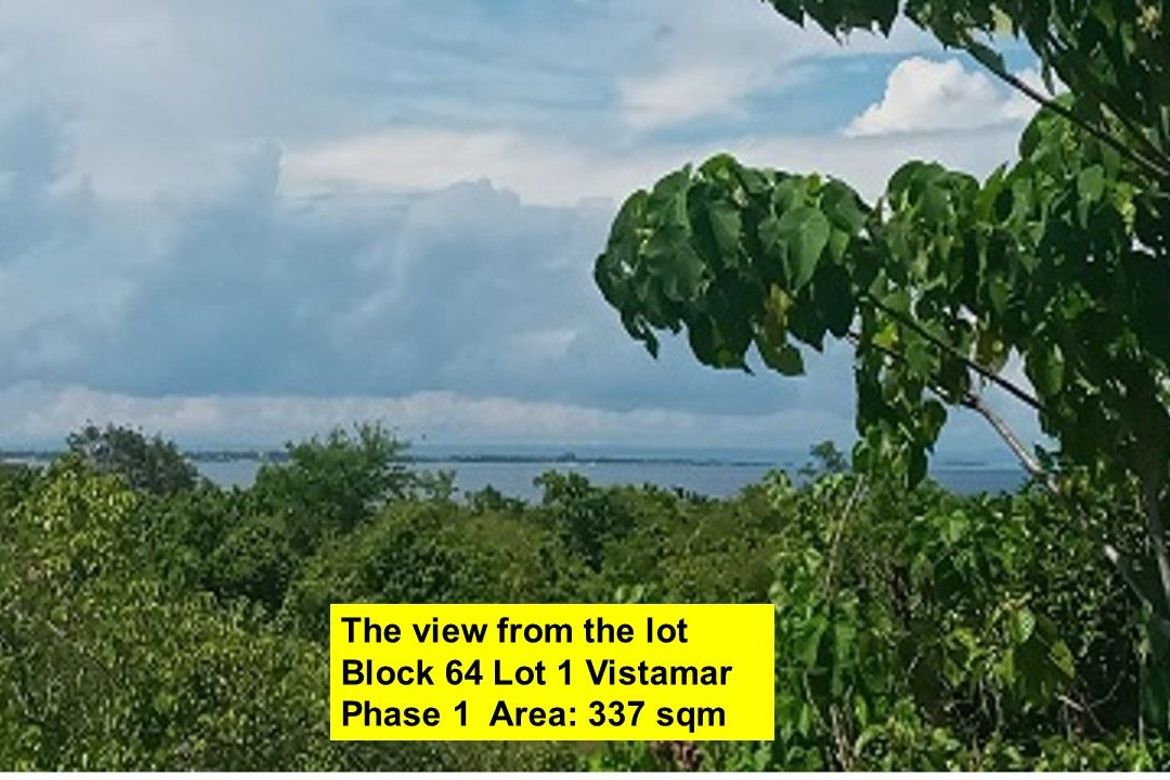 Land for Sale in Mactan, Lapu-Lapu, Cebu