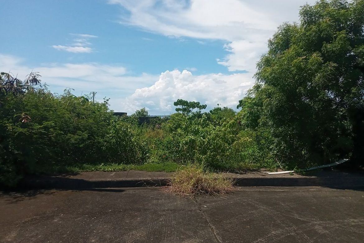 Land for Sale in Mactan, Lapu-Lapu, Cebu – photo 5