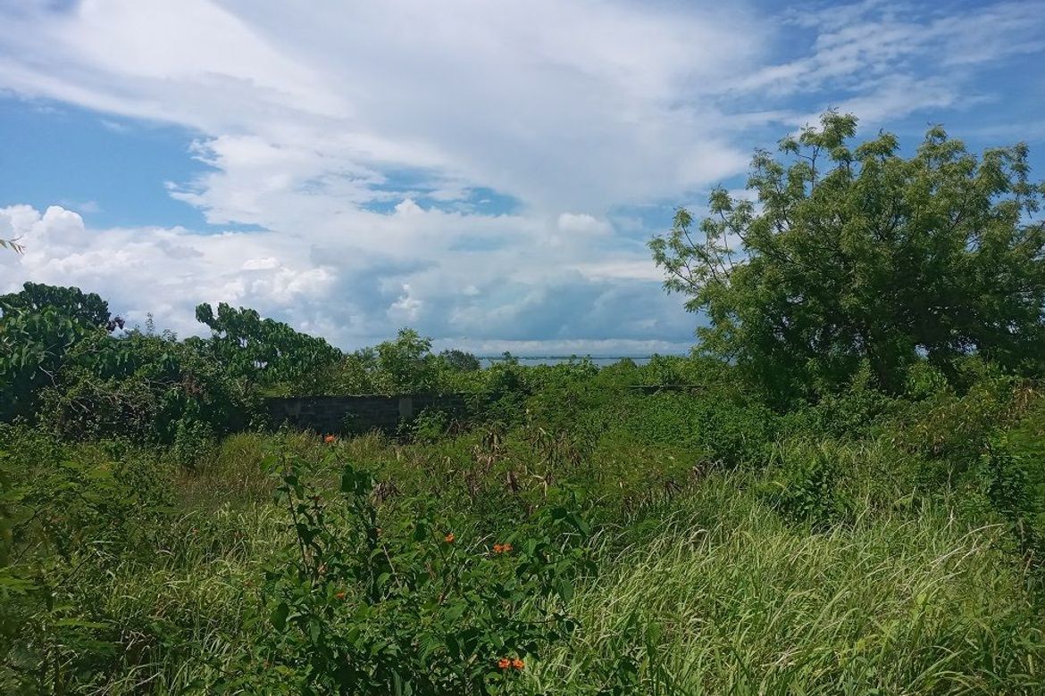 Land for Sale in Mactan, Lapu-Lapu, Cebu – photo 6