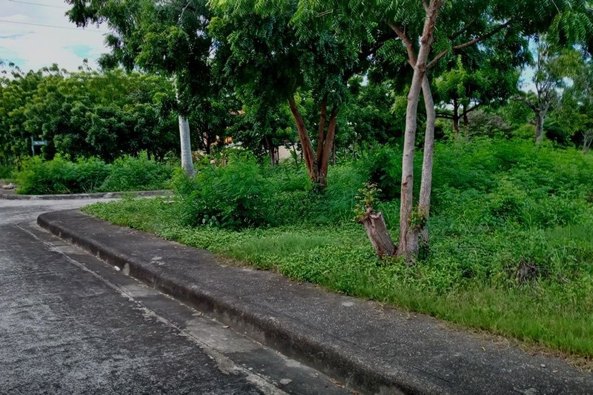 Land for Sale in Mactan, Lapu-Lapu, Cebu – photo 3