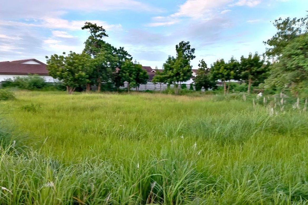 Land for Sale in Mactan, Lapu-Lapu, Cebu