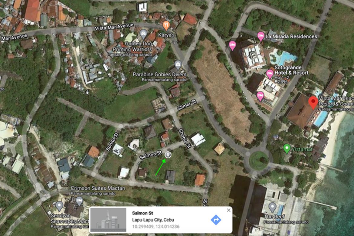 Land for Sale in Mactan, Lapu-Lapu, Cebu – photo 4