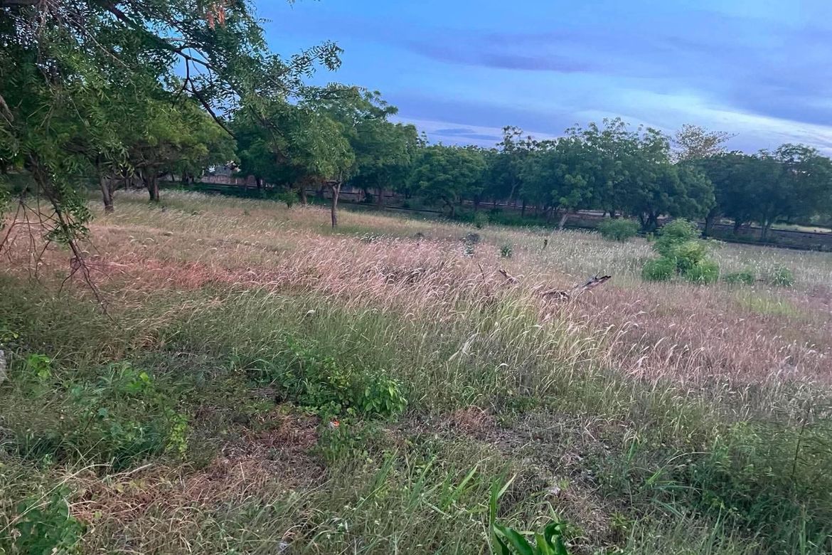 Land for Sale in Mactan, Lapu-Lapu, Cebu – photo 8