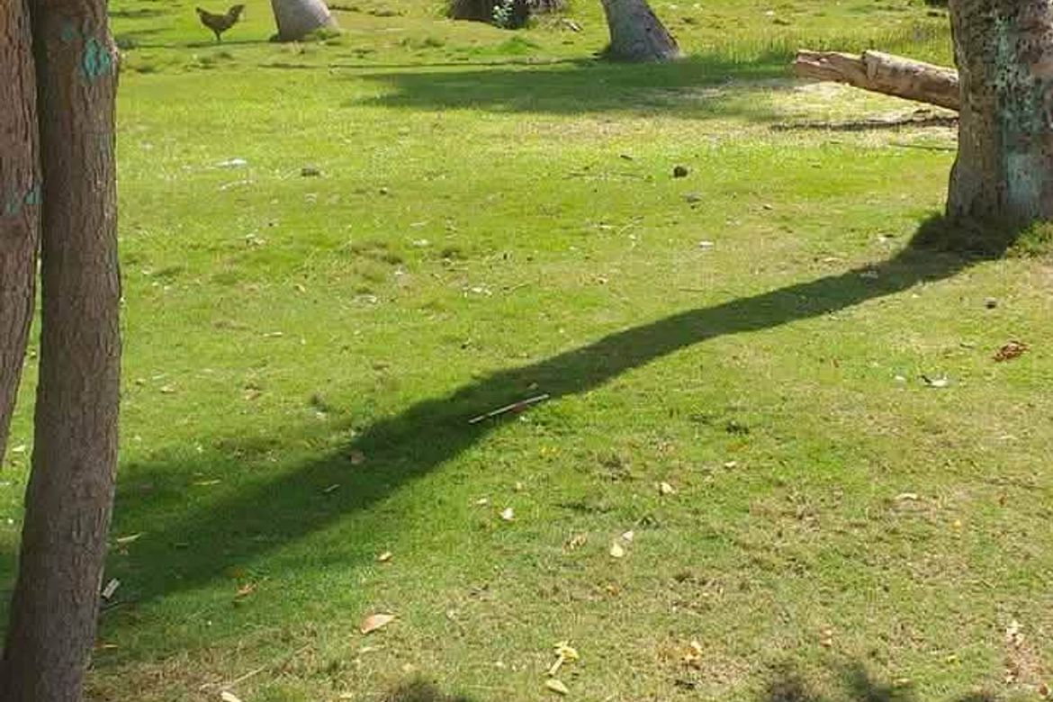 Land for Sale in Madangog, Calape, Bohol – photo 4