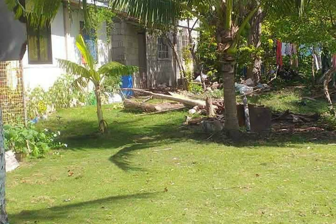 Land for Sale in Madangog, Calape, Bohol – photo 8