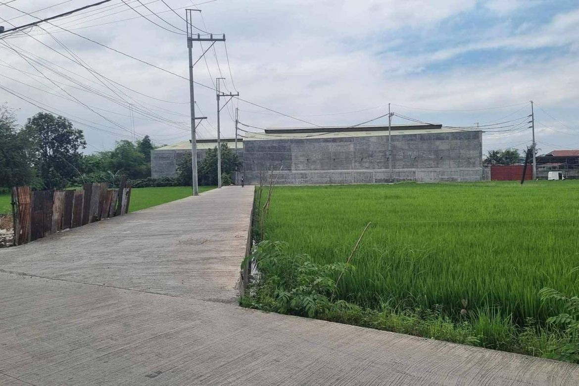 Land for Sale in Mag-Asawang Sapa, Santa Maria, Bulacan – photo 3