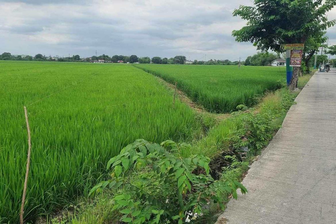 Land for Sale in Mag-Asawang Sapa, Santa Maria, Bulacan – photo 4