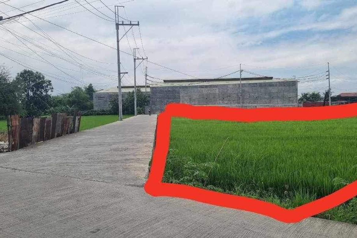 Land for Sale in Mag-Asawang Sapa, Santa Maria, Bulacan – photo 5