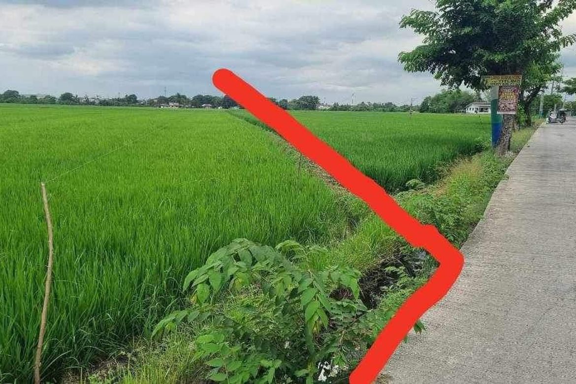 Land for Sale in Mag-Asawang Sapa, Santa Maria, Bulacan – photo 6