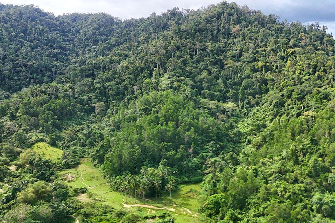 Land for Sale in Magara, Roxas, Palawan – photo 5