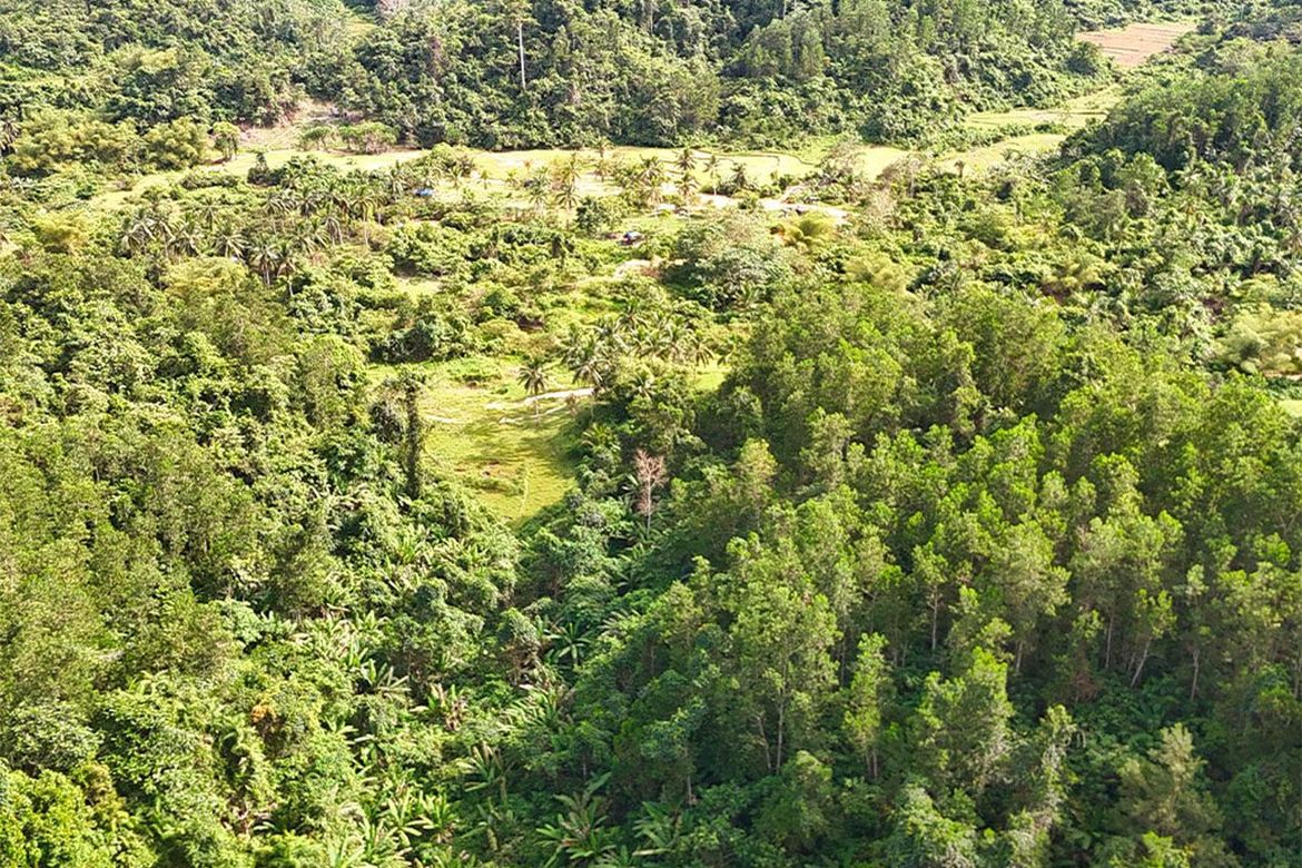 Land for Sale in Magara, Roxas, Palawan – photo 6