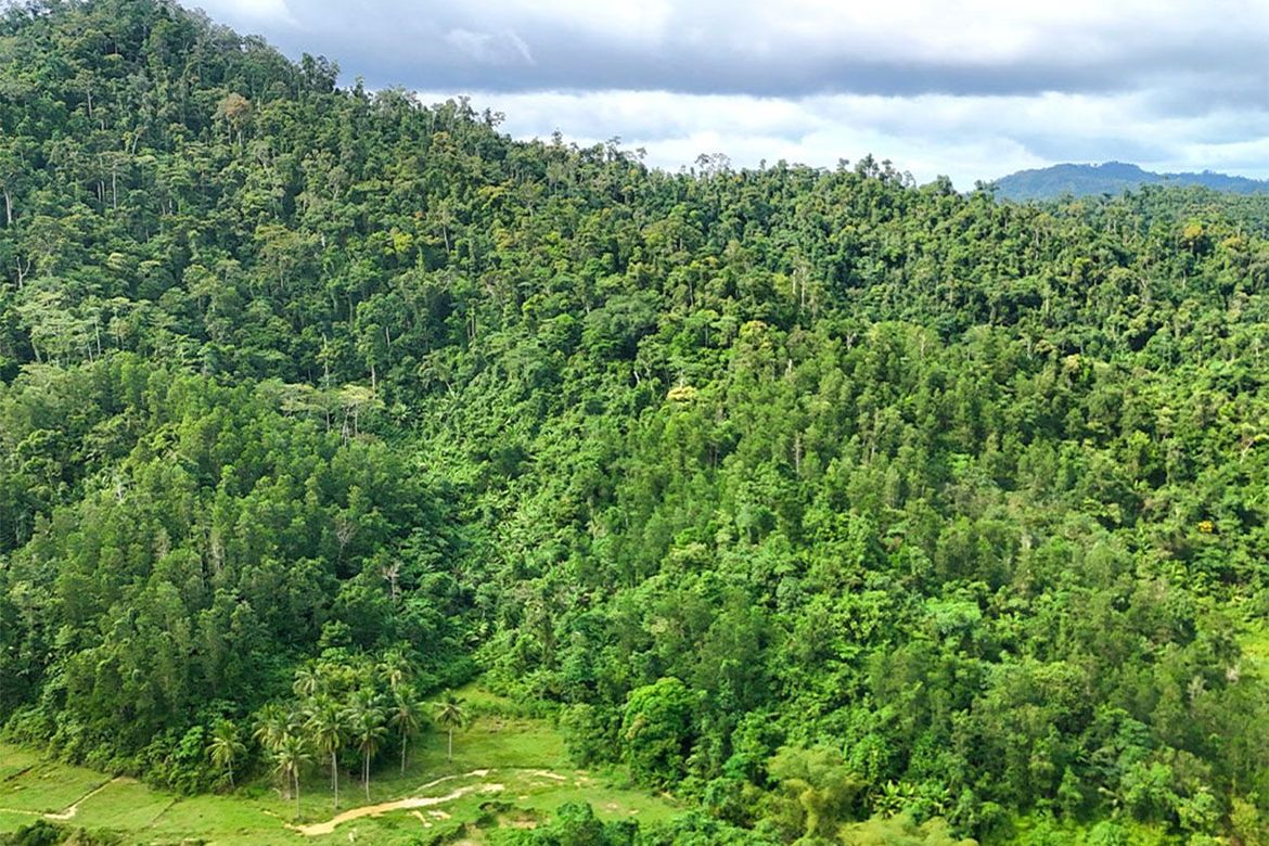 Land for Sale in Magara, Roxas, Palawan – photo 8