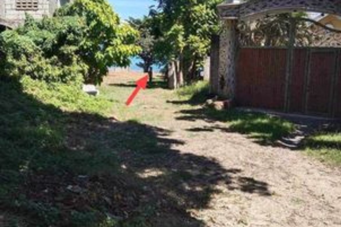 Land for Sale in Magay, Compostela, Cebu – photo 2