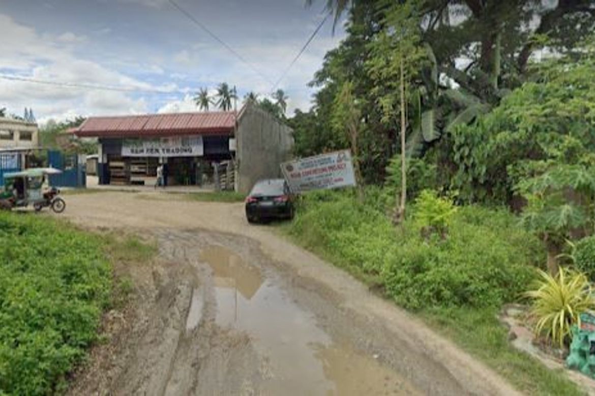 Land for Sale in Magay, Compostela, Cebu – photo 2