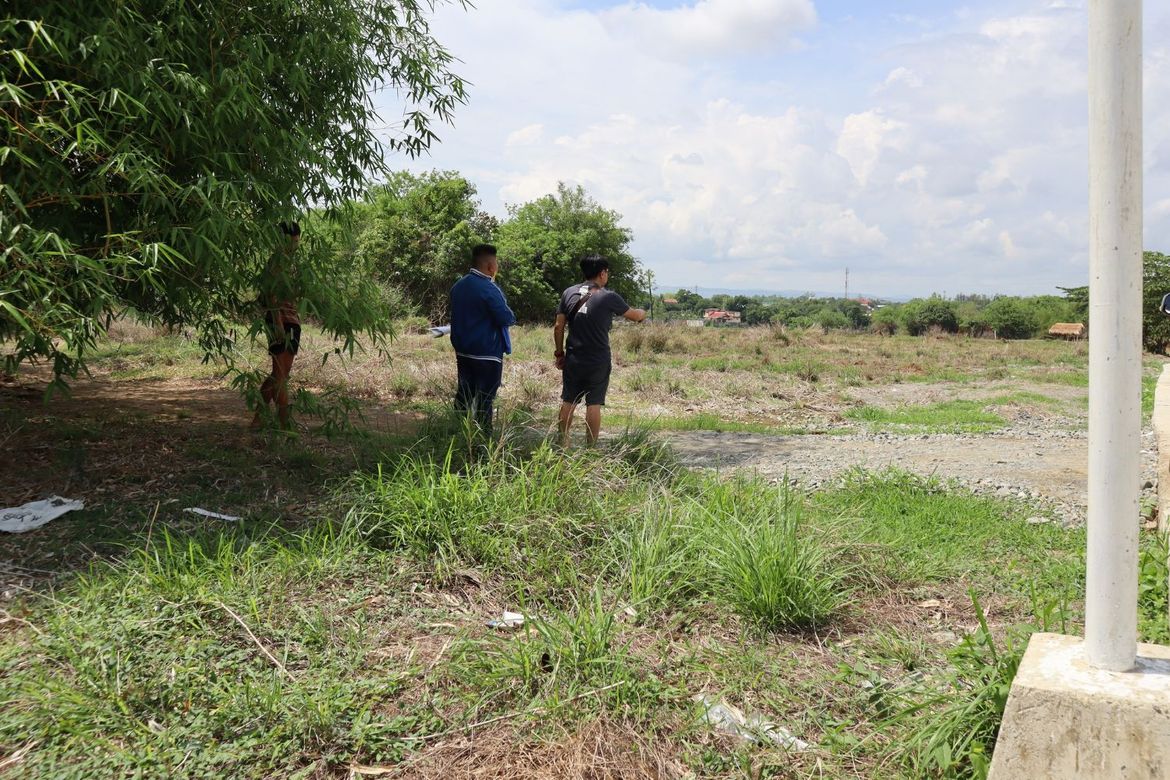 Land for Sale in Magsaysay, Alaminos, Pangasinan – photo 4