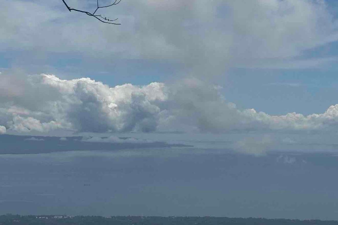Land for Sale in Magsaysay, Dauin, Negros Oriental – photo 2