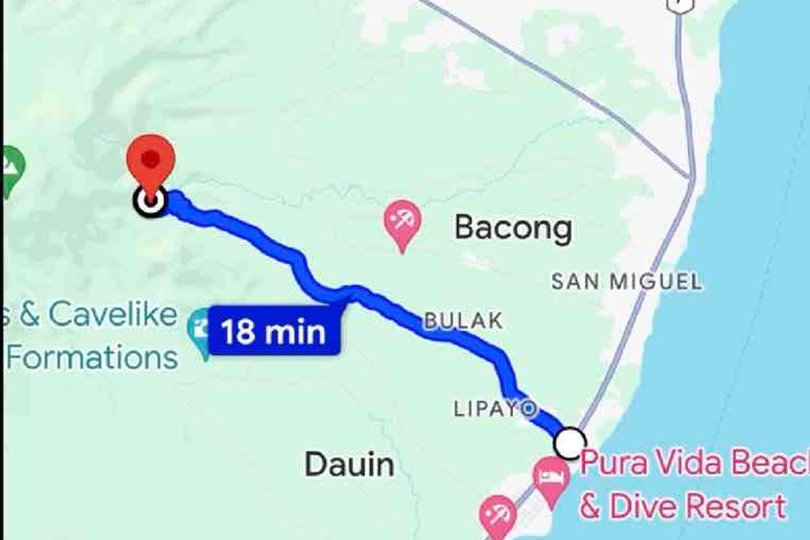 Land for Sale in Magsaysay, Dauin, Negros Oriental – photo 3
