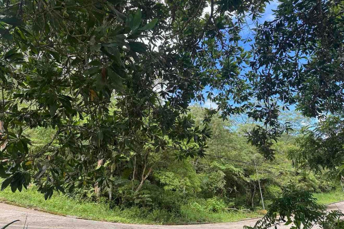 Land for Sale in Magsaysay, Dauin, Negros Oriental – photo 2