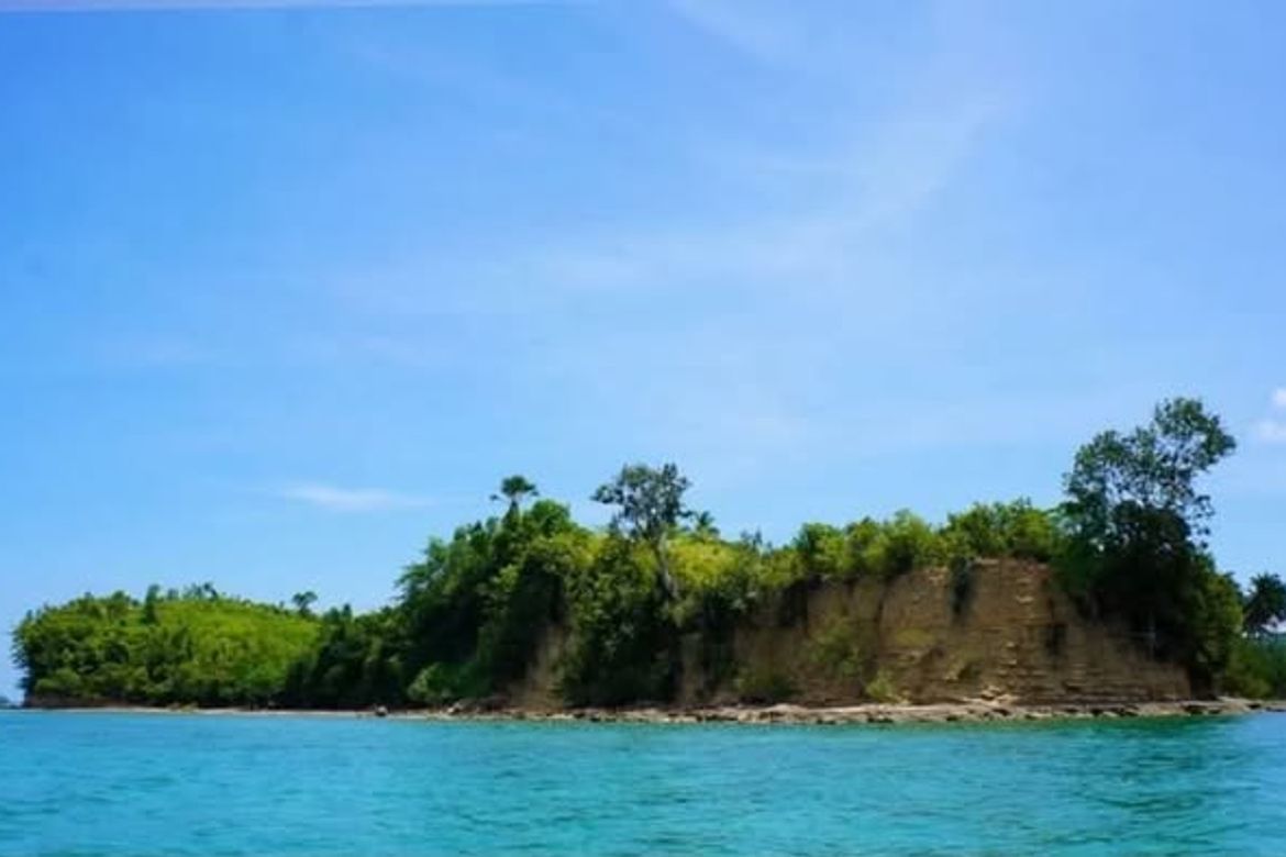 Land for Sale in Magsaysay, Lopez, Quezon
