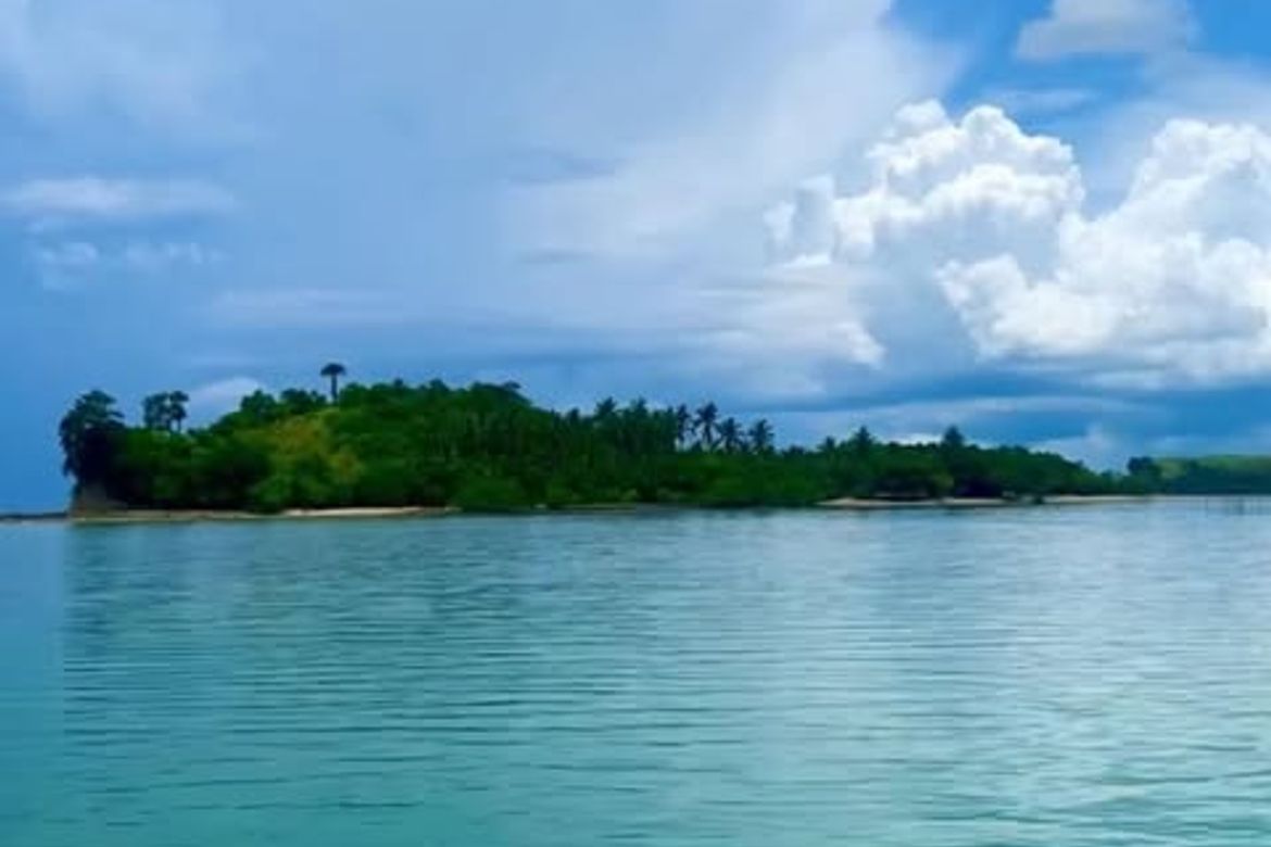 Land for Sale in Magsaysay, Lopez, Quezon – photo 2