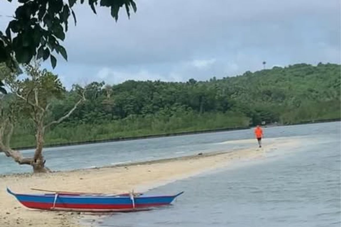 Land for Sale in Magsaysay, Lopez, Quezon – photo 4