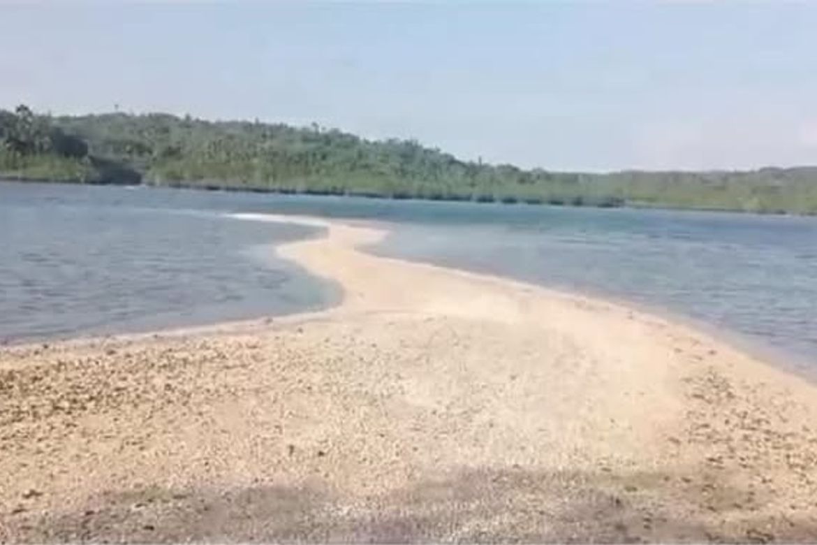 Land for Sale in Magsaysay, Lopez, Quezon – photo 5