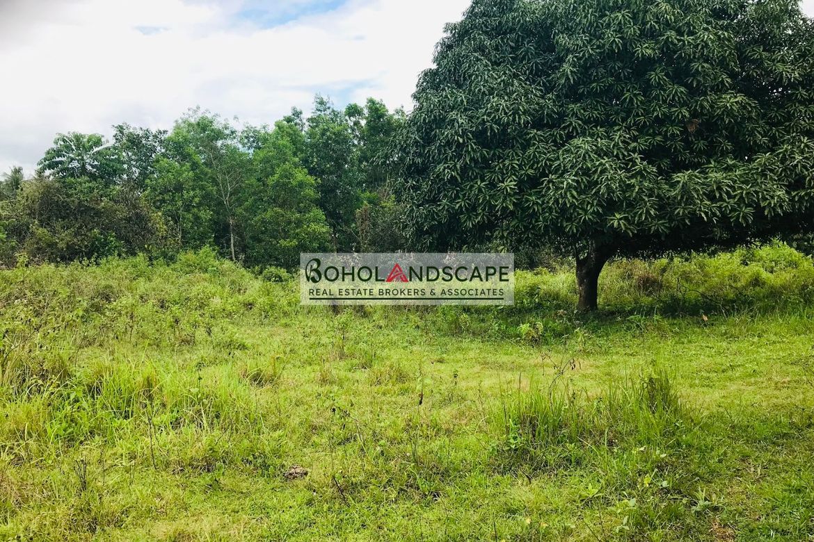 Land for Sale in Magsaysay, Sierra Bullones, Bohol