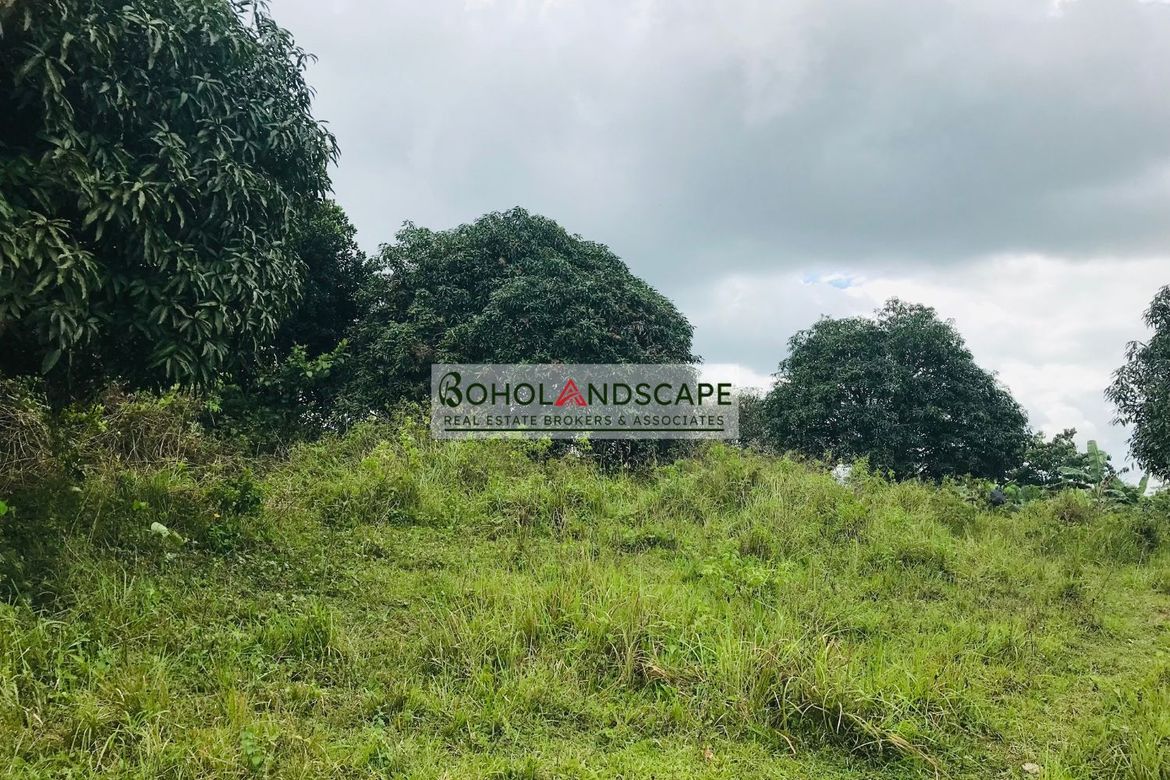 Land for Sale in Magsaysay, Sierra Bullones, Bohol – photo 2